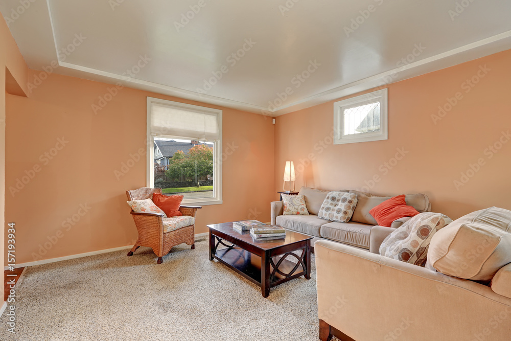 Peach Living Room Walls | Baci Living Room