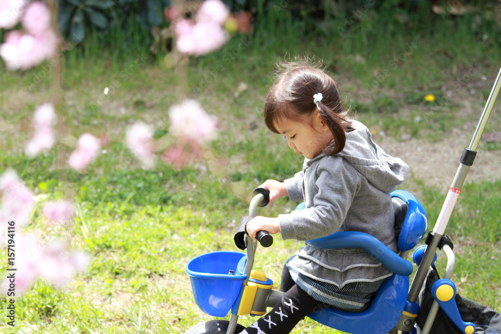 三輪車に乗る幼児(2歳児)と桜 三輪車に乗る幼児(2歳児)と桜
