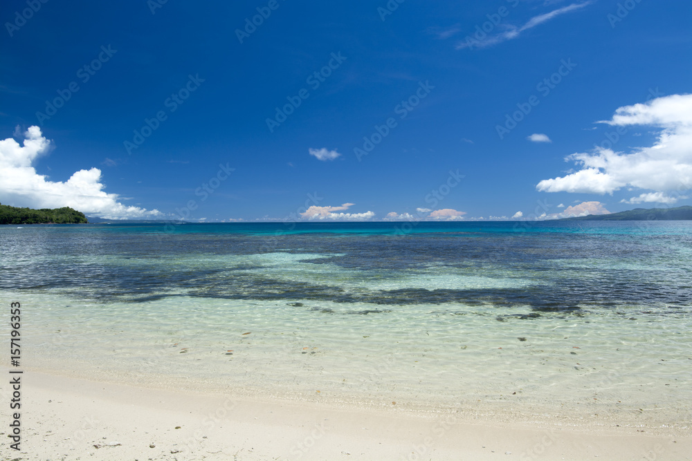 Tropical beach and coral reef
