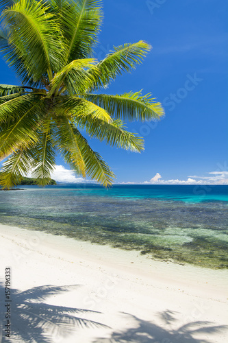 Fototapeta Naklejka Na Ścianę i Meble -  White tropical beach