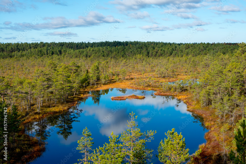 Estonian swamp lake lahemaa viru raba