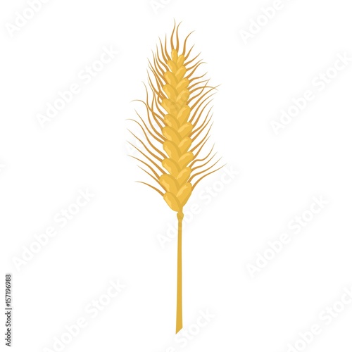 Emmer stalk icon, cartoon style