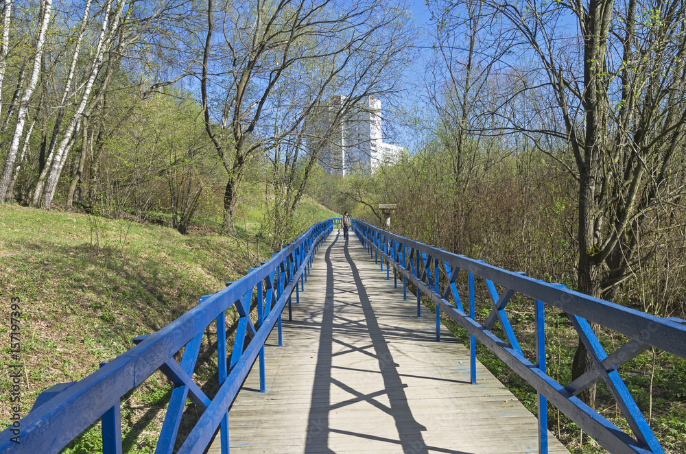 Footbridge over the marshy ravine.