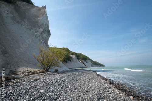 Mons Klint - Küste Kreidefelsen Dänemark