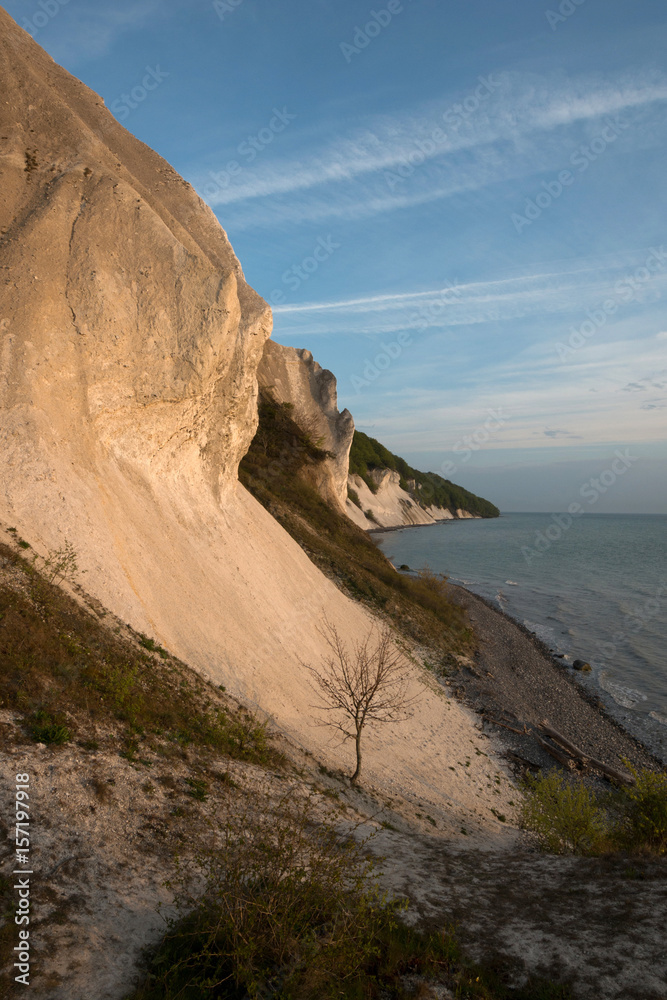 Mons Klint - Küste Kreidefelsen Dänemark Mons Klint - Küste Kreidefelsen Dänemark