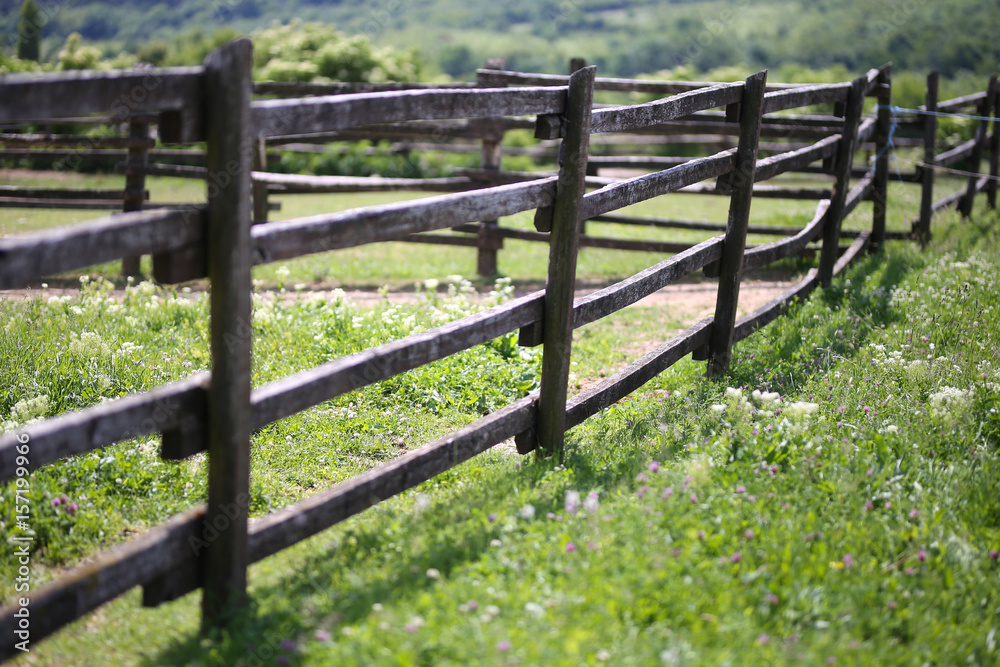 Country style fence dividing a green grassy meadow
