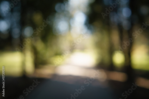 abstract green park or garden blurred background in shadow path, real lens blur © GCapture