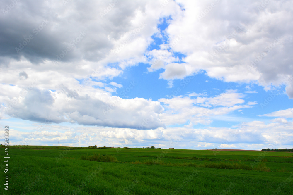 Beautiful spring landscape: green field against the sky, nature Beautiful spring landscape: green field against the sky, nature