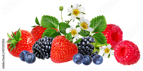 strawberry,raspberry,blackberry, bilberry, blueberries isolated on white
