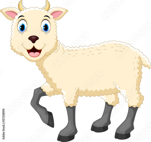 Vector illustration of cute sheep cartoon isolated on white background