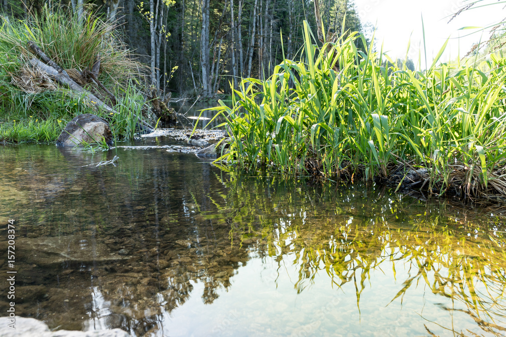 Obraz premium Seen Landschaft 