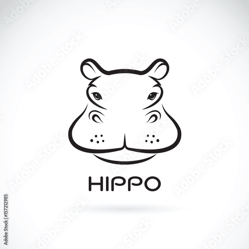 Vector of a hippo face design on white background. Wild Animals.