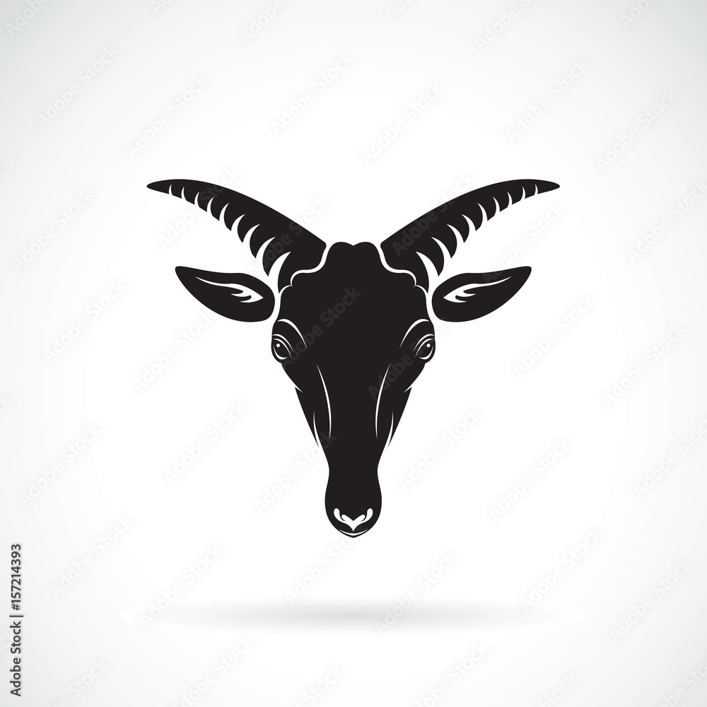Vector of a goats mountain head on white background. Wild Animals.