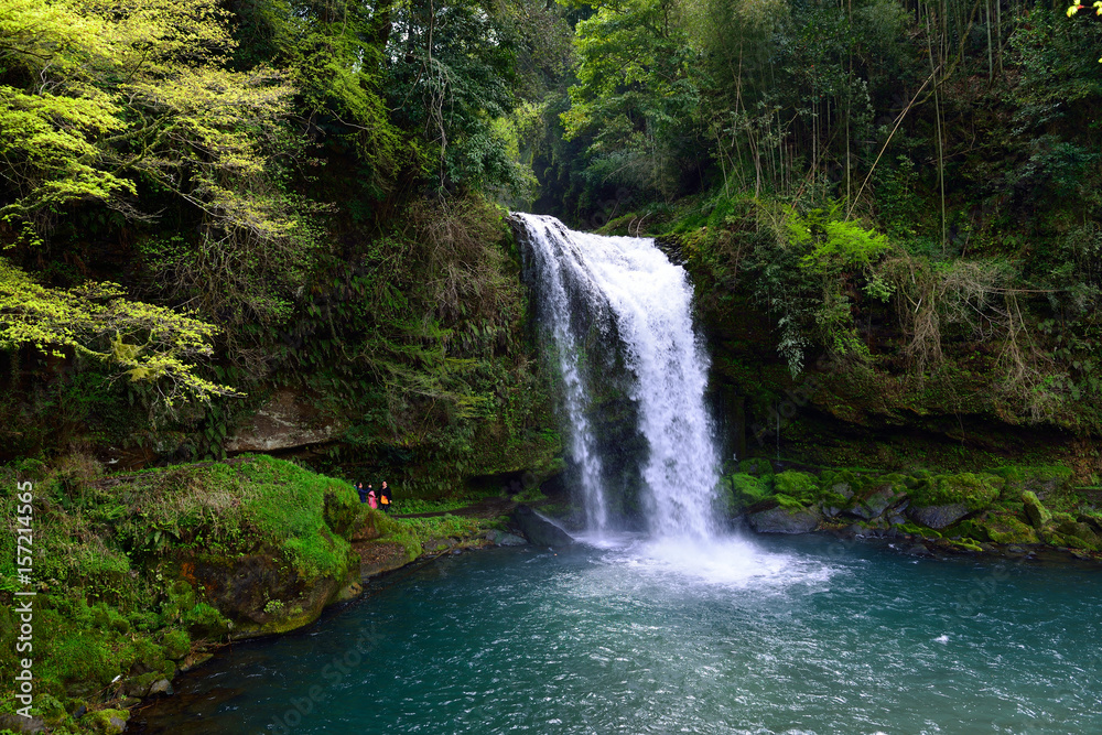 Fototapeta premium 慈恩の滝