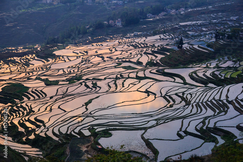 Obraz na plátně Sunset over Yuanyang rice terraces in China, UNESCO heritage site