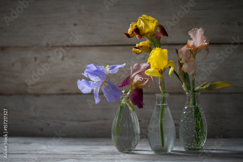 Fototapeta Naklejka Na Ścianę i Meble -  Iris flowers in vases