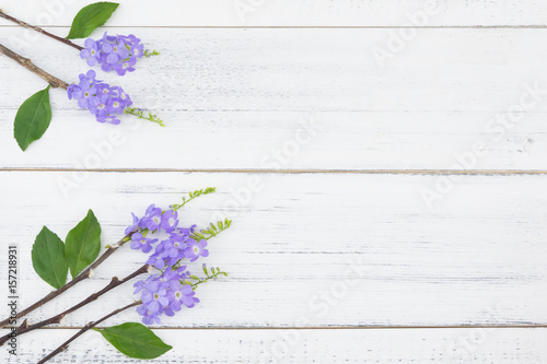 Purple flowers and green leaves and brown branches on white wood background with copy space