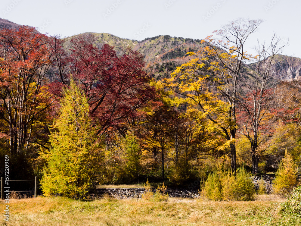 Fall colors in Nikko-Yumoto, part of Nikko National Park