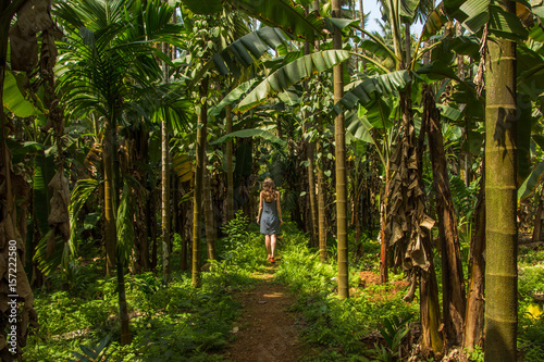Young woman in the jungle in tropical spice plantation, Goa, India