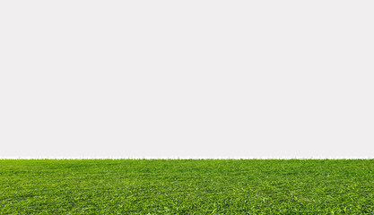Green grass field, isolated on white background
