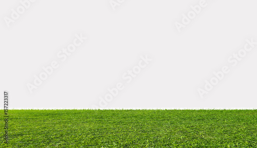 Green grass field, isolated on white background