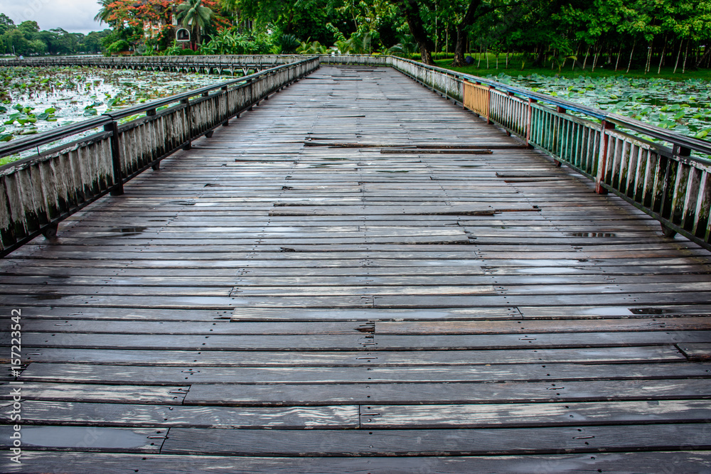 landscape photo of wooden bridge in the lake landscape photo of wooden bridge in the lake