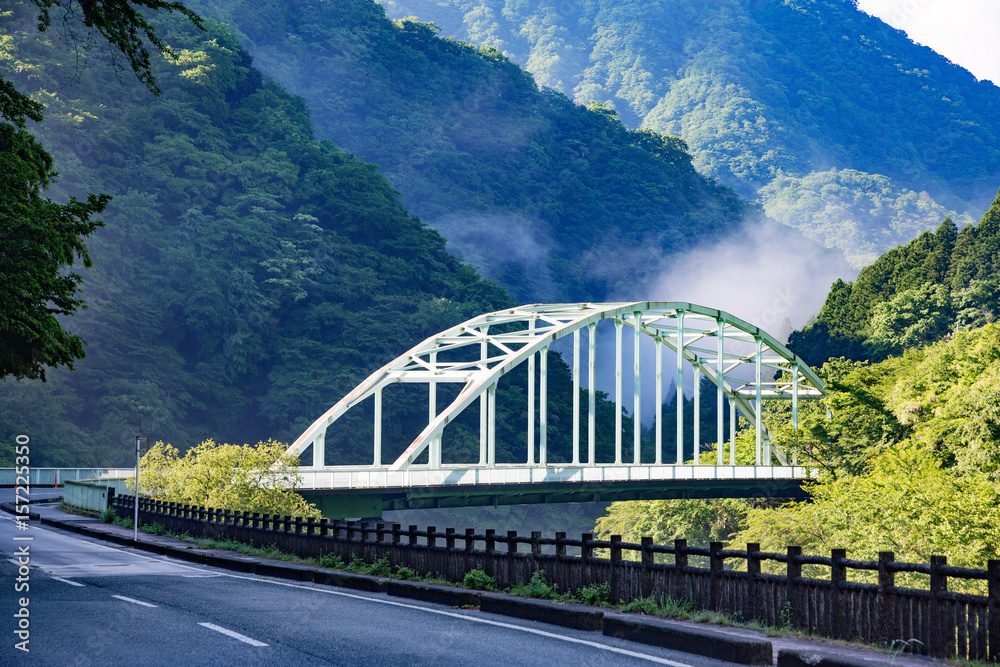 Fototapeta premium 新緑の山と橋