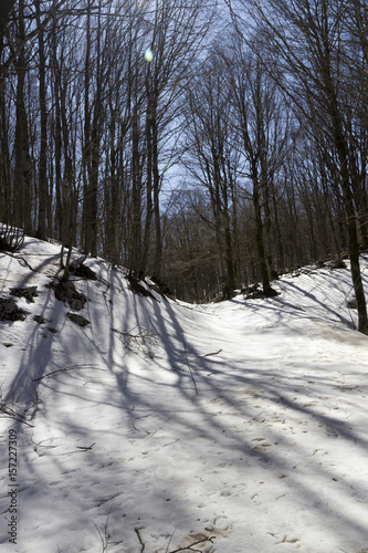 mountain trail with snow at matese park © ciroorabona