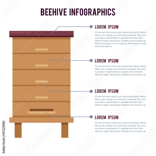 Vector flat infographics with beehive. Modern template illustration