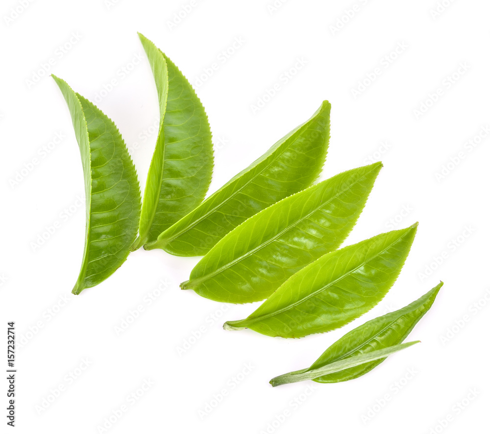Obraz premium tea leaf on white background