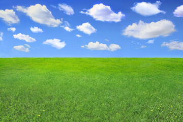 Summer landscape of grass. Background for visualization design project.