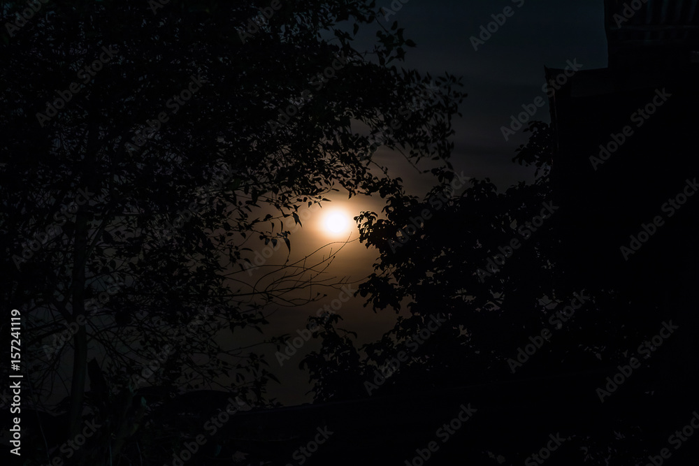 moonlight on night time