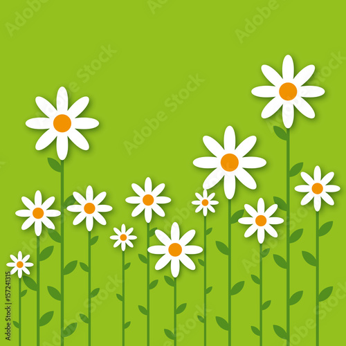 carte fleur