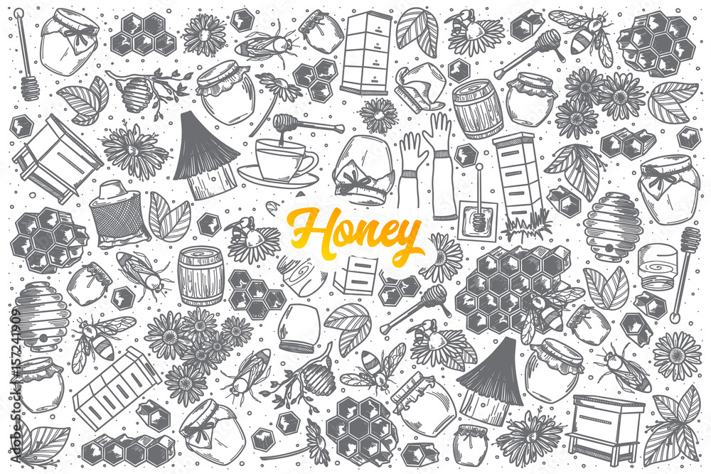 Hand drawn Honey doodle set background with orange lettering in vector