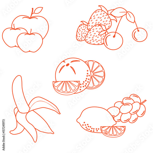 Cute vector illustration of organic fruits and berries.  Healthy eating vector concept.