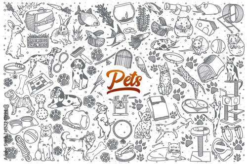 Hand drawn Pets doodle set background with red lettering in vector