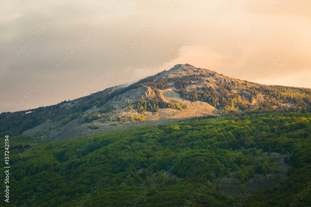 View of Kamen del peak in Vitosha Nature Park, Sofia