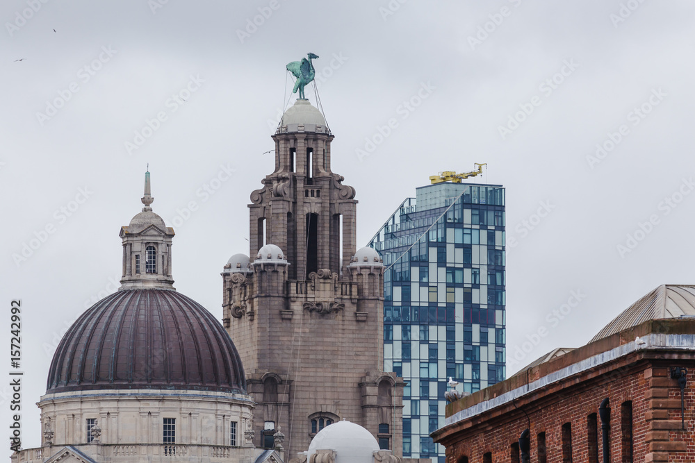 Seagulls swoop over the Liverpool waterfront
