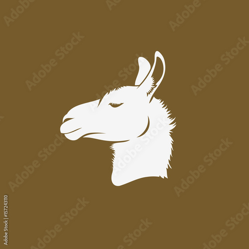 Lama 