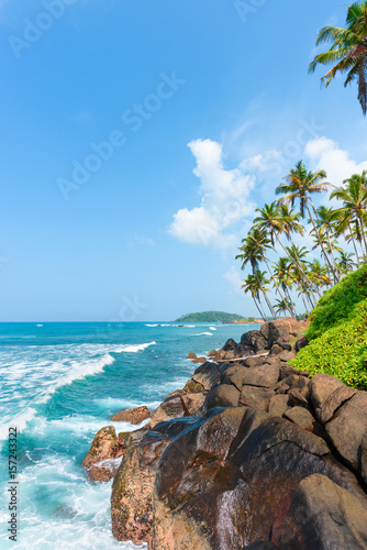 Palm trees on rocky tropical beach