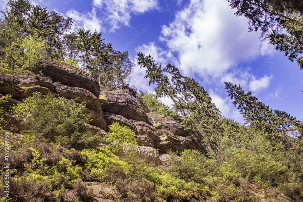 Edmundsklamm bei Hřensko Böhmische Schweiz Edmundsklamm bei Hřensko Böhmische Schweiz