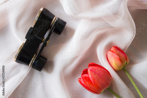 Black binoculars and flowers of a tulip for a trip to the theater. Top view. Background of a soft pink scarf