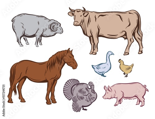 farm animals color sketches © la_puma