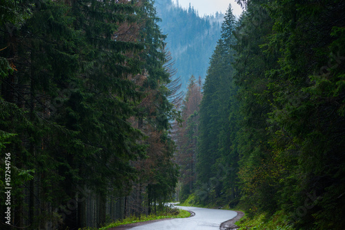 Fototapeta Naklejka Na Ścianę i Meble -  Curve road in a mountain forest