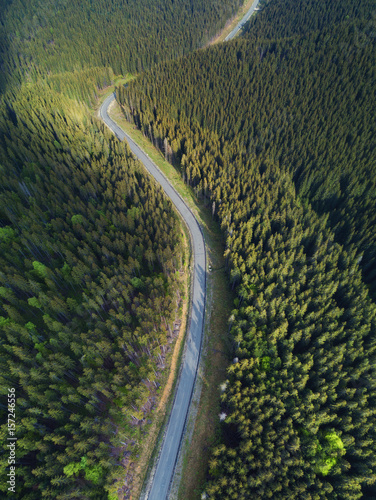 Road in the forest. Natural background from air
