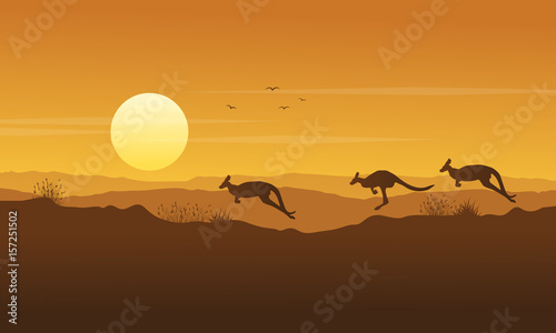 Beauty scenery kangaroo silhouette collection