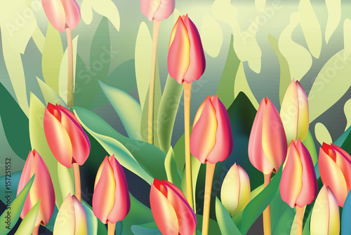 Red tulip flowers Spring season invitation background. Vector illustration