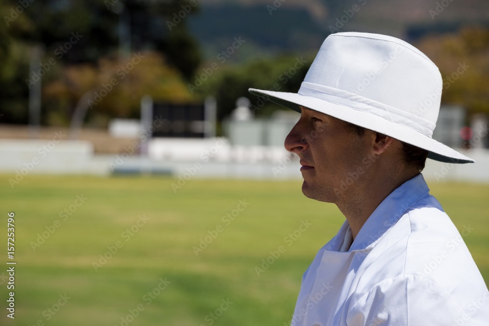 Profile view of umpire standing at field during cricket match Profile view of umpire standing at field during cricket match