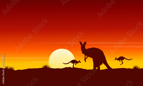 Silhouette kangaroo at sunrise landscape