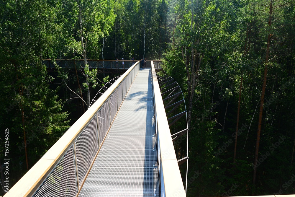 Visiting tree canopy walkway in Anyksciai district